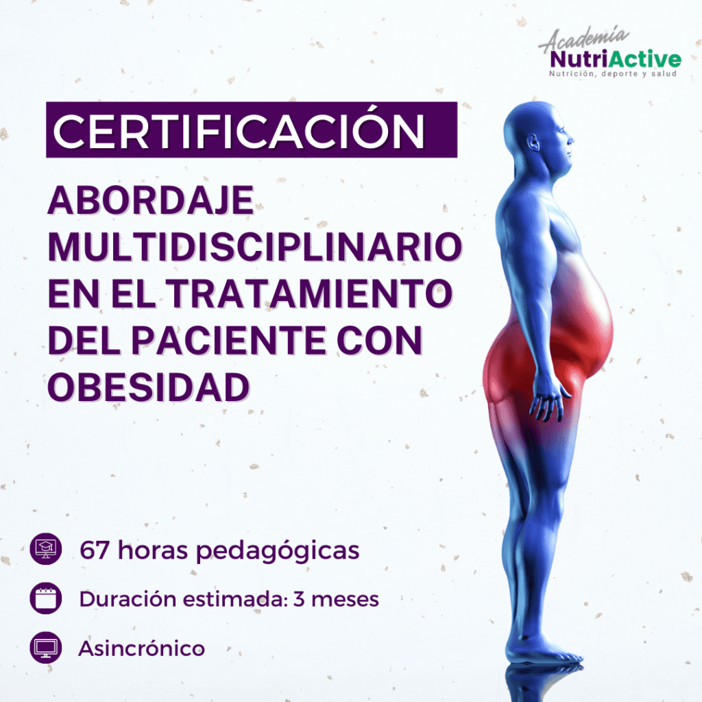 Abordaje multidisciplinario en el tratamiento del paciente con obesidad - Academia Nutriactive