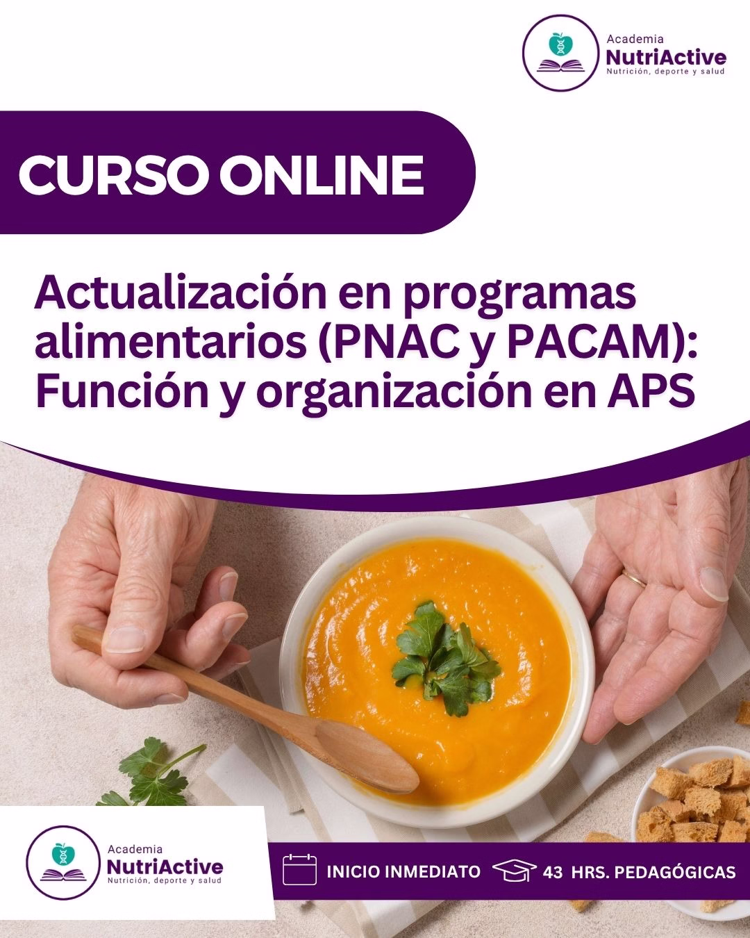 Actualización en programas alimentarios (PNAC y PACAM): Función y organización en APS