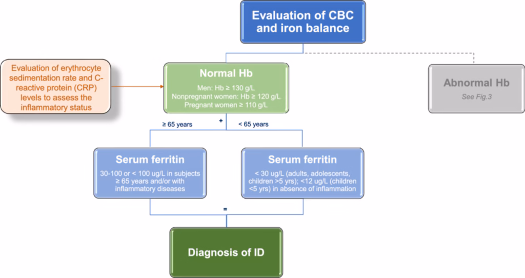 Imagen 1 deficiencia hierro