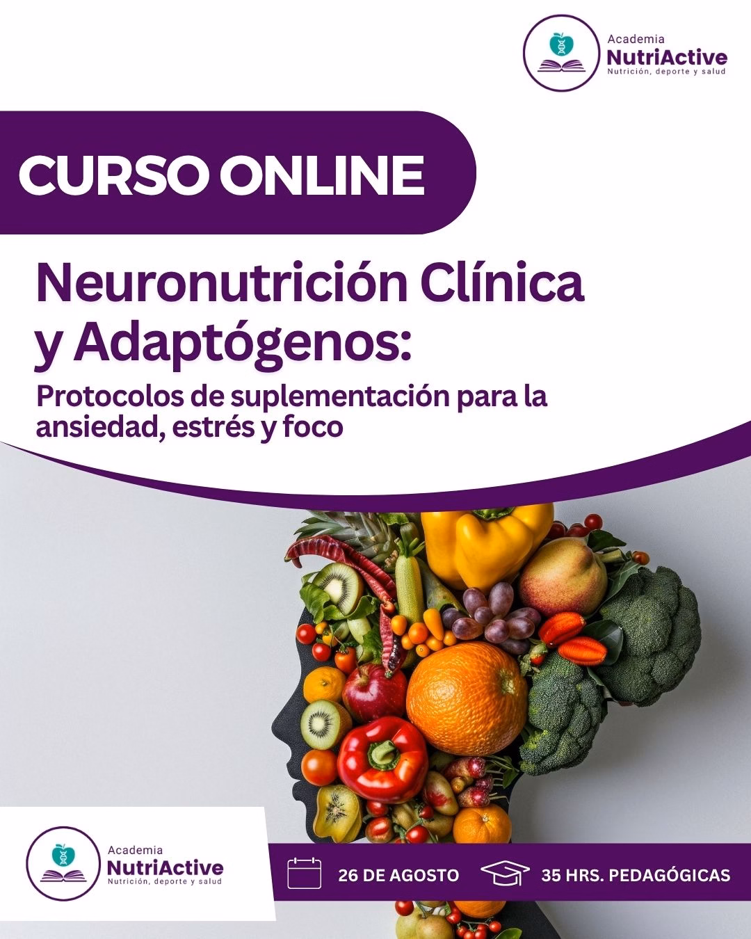 Neuronutrición Clínica y Adaptógenos: Protocolos de suplementación para la ansiedad, estrés y foco